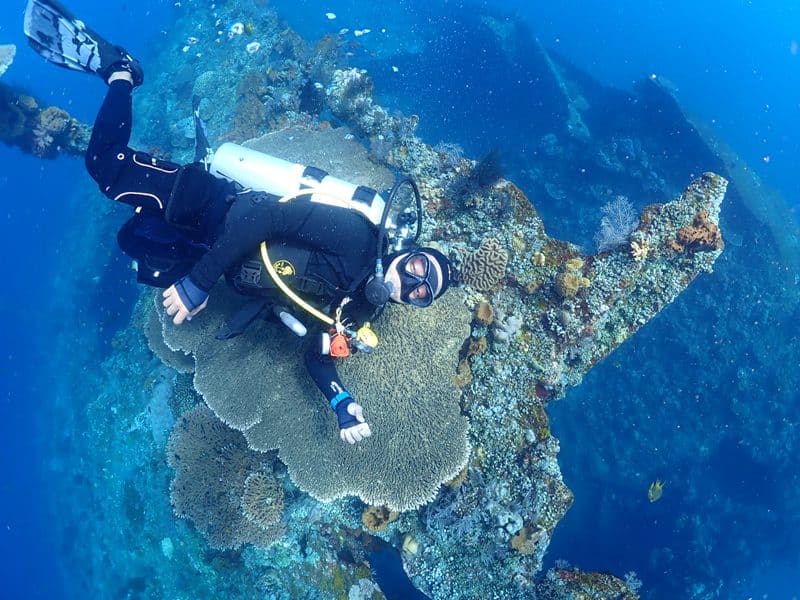 discover diving scuba
