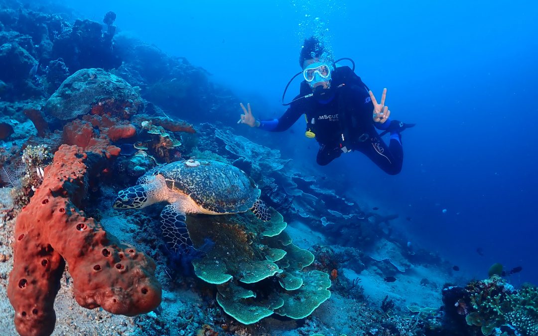 Recommendations of Tourist Favorite Diving Places in Bali