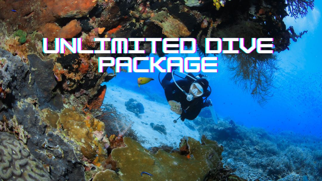 Unlimited Dive Package 2024