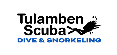 Tulamben Scuba Dive Courses & Fun Dives Bali