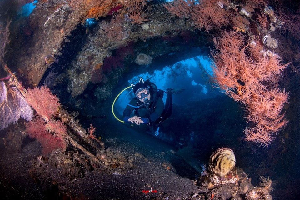 Diving di Tulamben Scuba wreck diving bali