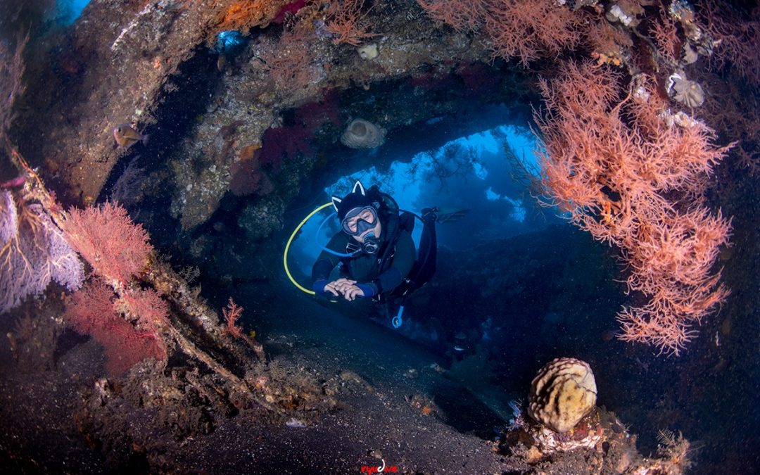 Mengapa Tulamben Jadi Pilihan Terbaik untuk pemula memulai Scuba Diving